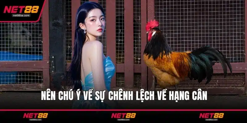 Nên chú ý về sự chênh lệch về hạng cân