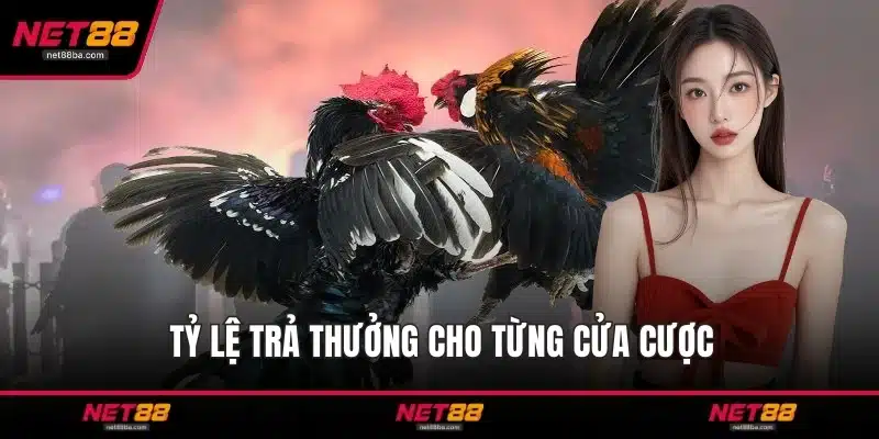 Tỷ lệ trả thưởng cho từng cửa cược